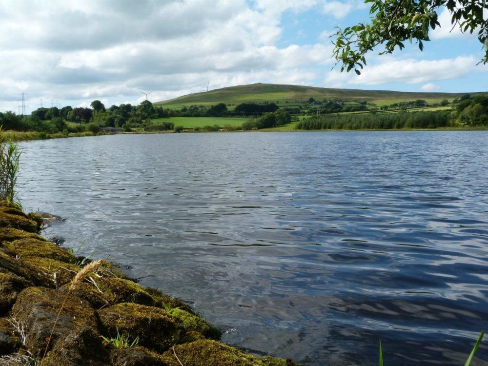 Dunamoy & Ballyclare